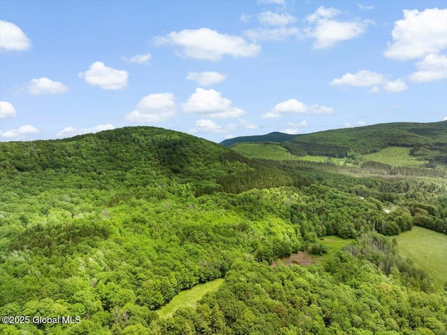 L3 Durham Rd, Conesville, NY 12076 - photo 8