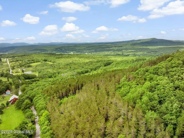 L3 Durham Rd, Conesville, NY 12076 - photo 9