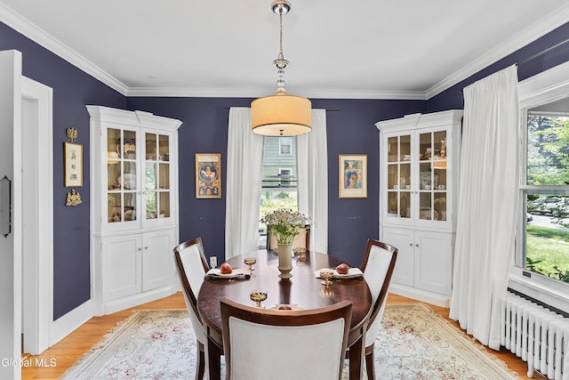 1101 Ardsley Rd, Schenectady, NY 12308 - dining room featuring radiator heating unit, light wood-style floors, and crown molding