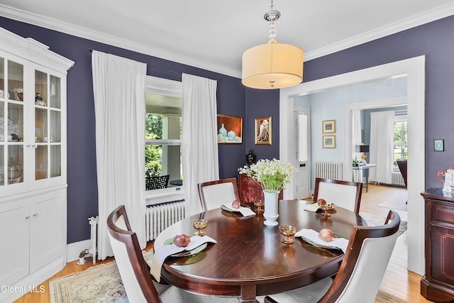 1101 Ardsley Rd, Schenectady, NY 12308 - dining space featuring plenty of natural light, radiator heating unit, light wood-type flooring, and crown molding