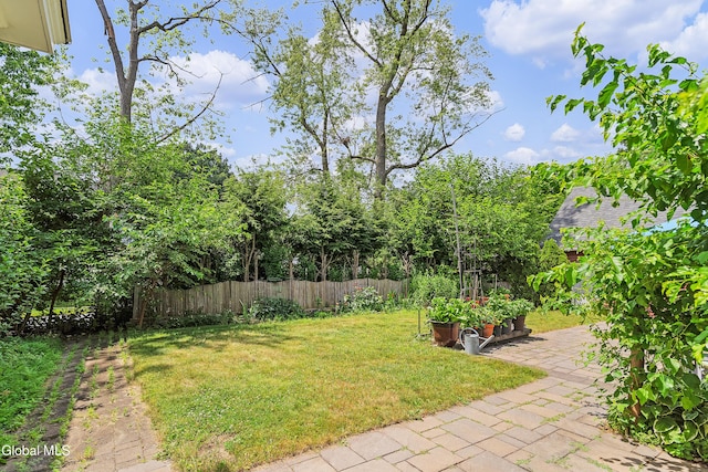 1101 Ardsley Rd, Schenectady, NY 12308 - view of yard