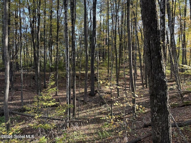 215 Ridge Rd, Minerva, NY 12851 - view of nature