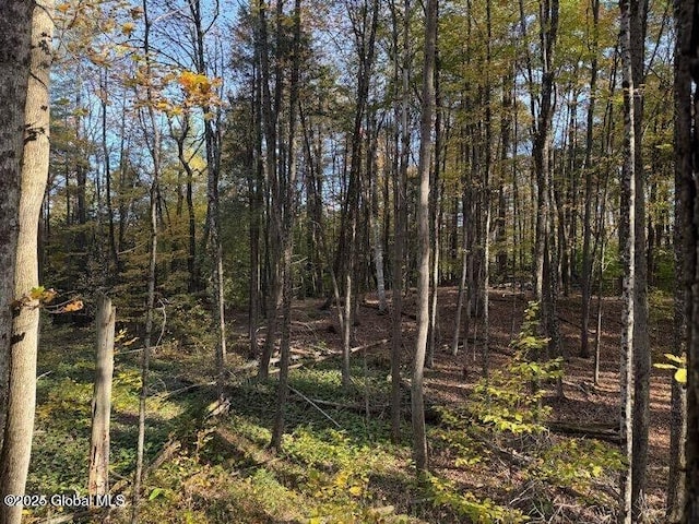 215 Ridge Rd, Minerva, NY 12851 - view of wooded area