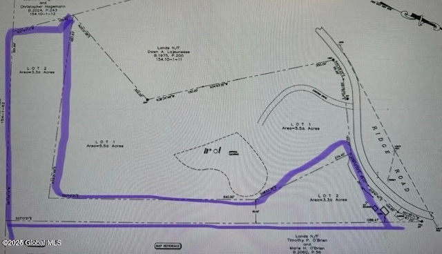 215 Ridge Rd, Minerva, NY 12851 - map / location