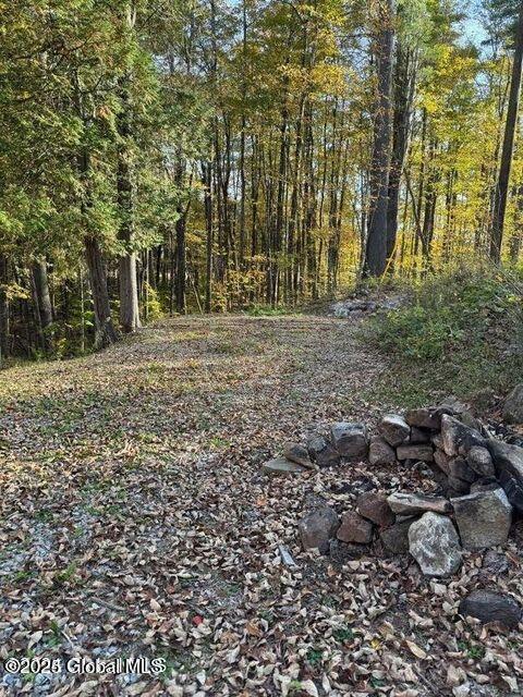 215 Ridge Rd, Minerva, NY 12851 - view of woods