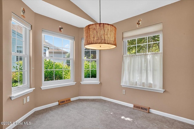13 Hyland Cir, Troy, NY 12182 - unfurnished dining area with carpet, healthy amount of natural light, and lofted ceiling