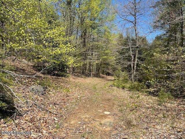 L12 Adirondack Heights Rd Lot # 6, Chester, NY 12817 - photo 7