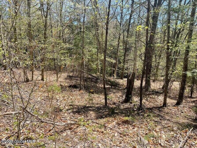 L12 Adirondack Heights Rd Lot # 6, Chester, NY 12817 - photo 8