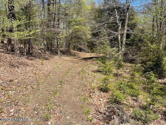 L12 Adirondack Heights Rd Lot # 6, Chester, NY 12817 - photo 10