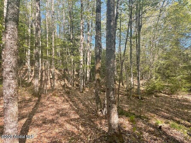L12 Adirondack Heights Rd Lot # 6, Chester, NY 12817 - photo 13
