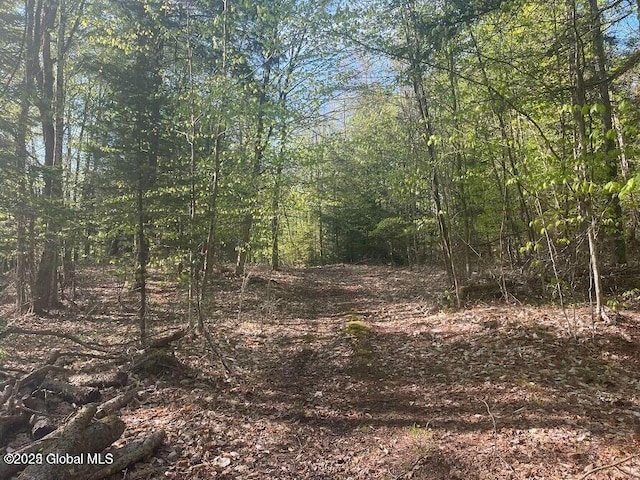 L12 Adirondack Heights Rd Lot # 6, Chester, NY 12817 - photo 1