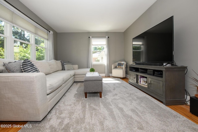 23 Mcmillen Pl, Bethlehem, NY 12054 - living room with wood finished floors