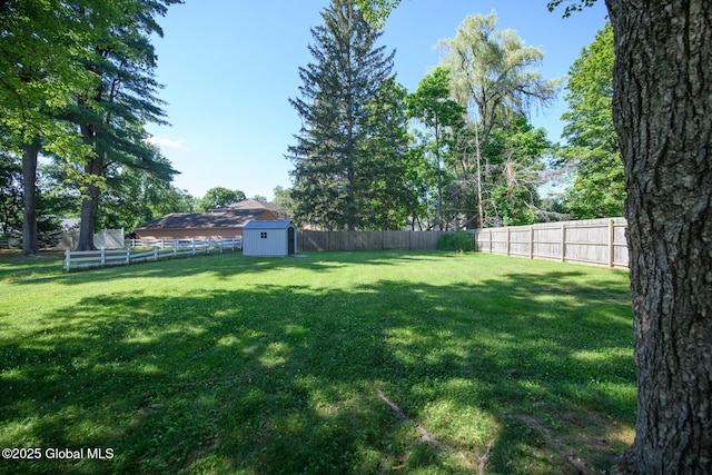 23 Mcmillen Pl, Bethlehem, NY 12054 - fenced backyard with a storage unit