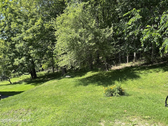 33 Dunham Hollow Rd, Nassau, NY 12062 - photo 31