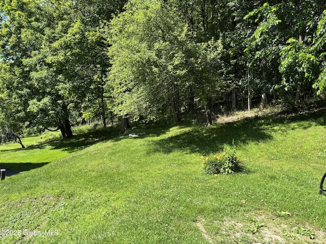 33 Dunham Hollow Rd, Nassau, NY 12062 - photo 32