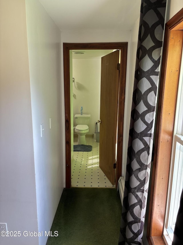 33 Dunham Hollow Rd, Nassau, NY 12062 - photo 26