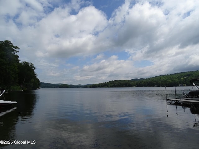 2255 Oaks Rd, Argyle, NY 12809 - photo 27