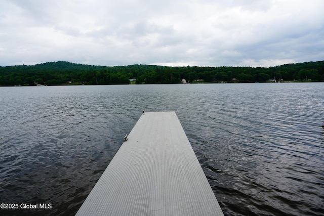 2255 Oaks Rd, Argyle, NY 12809 - photo 29