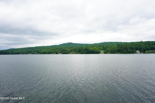 2255 Oaks Rd, Argyle, NY 12809 - photo 38