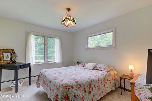 399 W State St Ext, Johnstown, NY 12078 - photo 24