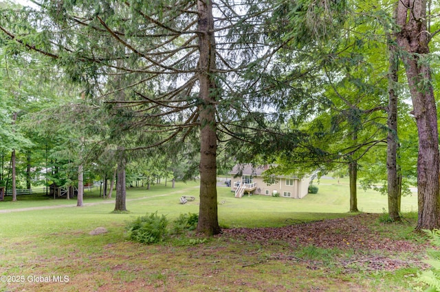 399 W State St Ext, Johnstown, NY 12078 - photo 45