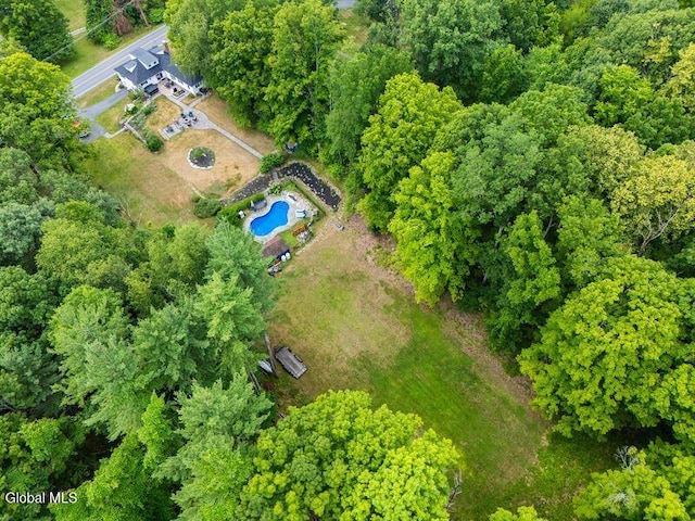 1264 Pilot Knob Rd, Fort Ann, NY 12844 - drone / aerial view of a pool area