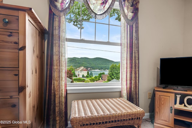 8 Latham Rd, Lake George, NY 12845 - detailed view