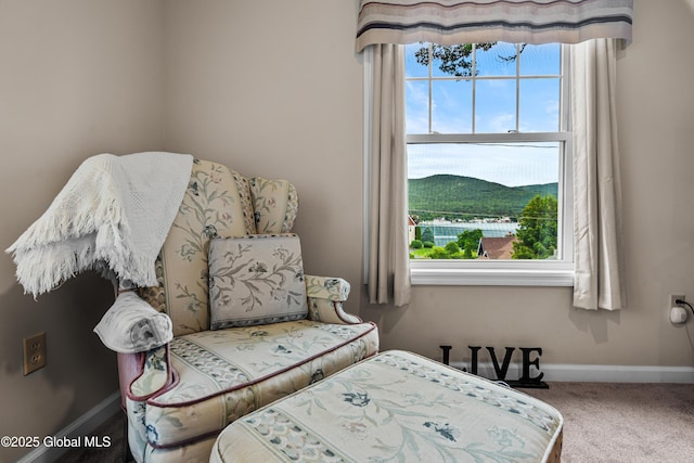 8 Latham Rd, Lake George, NY 12845 - sitting room featuring plenty of natural light and carpet flooring