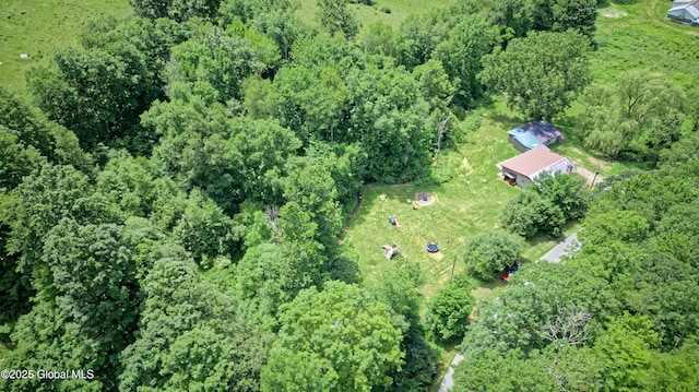 962 Camden Valley Rd, Salem, NY 12873 - view of property location with a forest