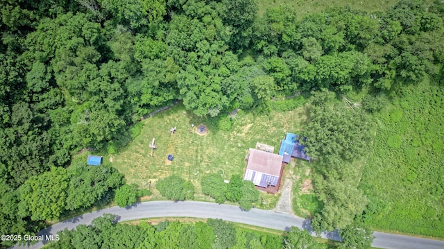 962 Camden Valley Rd, Salem, NY 12873 - view of property location featuring a forest