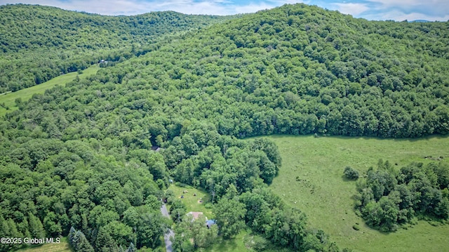 962 Camden Valley Rd, Salem, NY 12873 - drone / aerial view of a forest