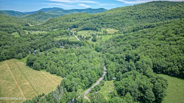 962 Camden Valley Rd, Salem, NY 12873 - bird's eye view of a heavily wooded area and mountains
