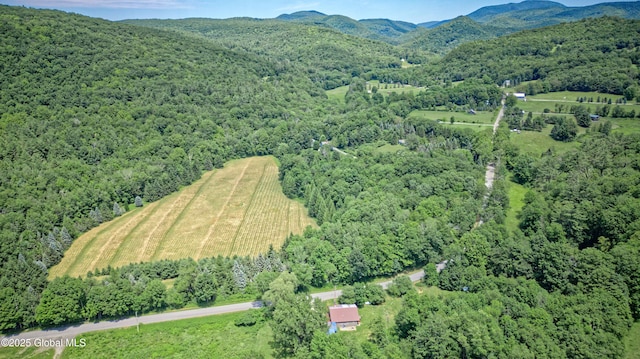 962 Camden Valley Rd, Salem, NY 12873 - aerial view of property's location with a forest and a mountainous background