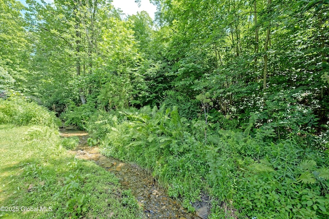 962 Camden Valley Rd, Salem, NY 12873 - view of undeveloped land