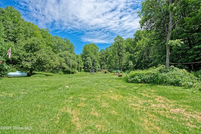 962 Camden Valley Rd, Salem, NY 12873 - view of grassy yard with a playground and a wooded view