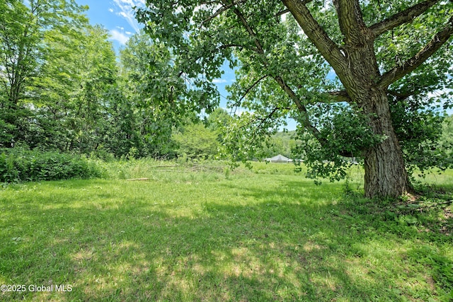 962 Camden Valley Rd, Salem, NY 12873 - view of yard