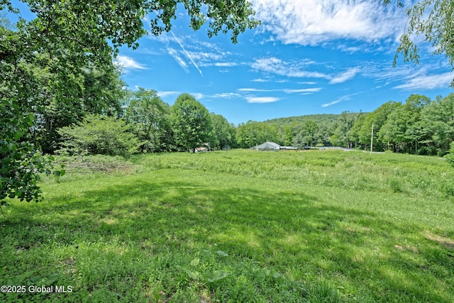 962 Camden Valley Rd, Salem, NY 12873 - view of yard featuring a forest view and a rural view
