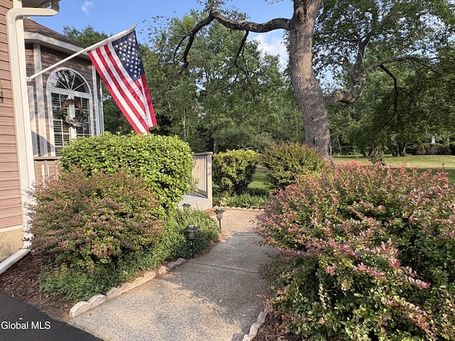 1 Maple Dr, Greenfield, NY 12833 - view of yard