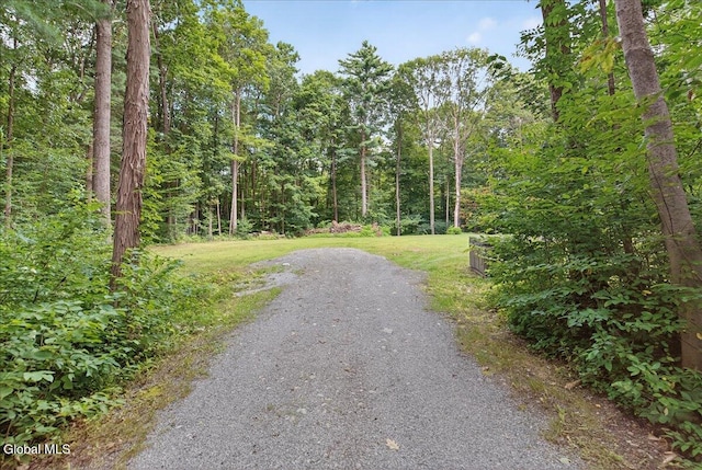 39 Elmore Robinson Rd, Stillwater, NY 12118 - photo 73