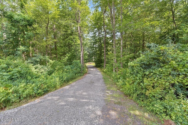 39 Elmore Robinson Rd, Stillwater, NY 12118 - photo 72
