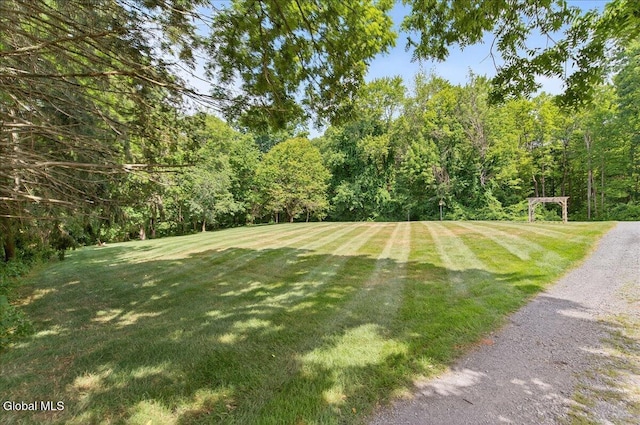 39 Elmore Robinson Rd, Stillwater, NY 12118 - photo 61