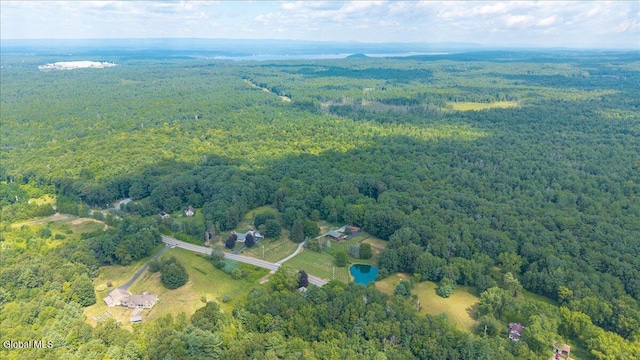 39 Elmore Robinson Rd, Stillwater, NY 12118 - photo 66