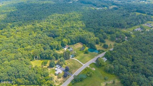 39 Elmore Robinson Rd, Stillwater, NY 12118 - photo 67