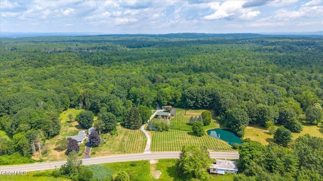 39 Elmore Robinson Rd, Stillwater, NY 12118 - photo 10