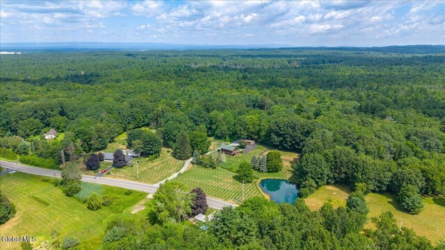 39 Elmore Robinson Rd, Stillwater, NY 12118 - photo 9
