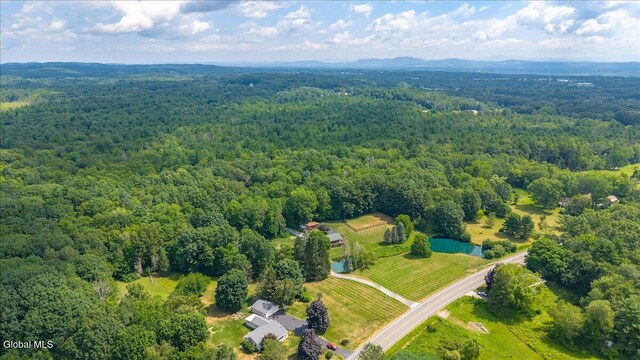 39 Elmore Robinson Rd, Stillwater, NY 12118 - photo 68