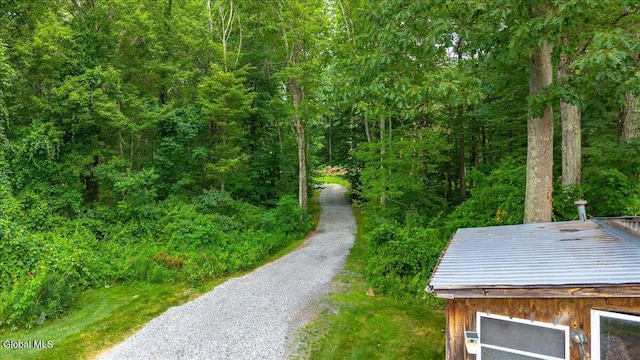 39 Elmore Robinson Rd, Stillwater, NY 12118 - photo 71