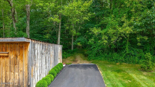 39 Elmore Robinson Rd, Stillwater, NY 12118 - photo 69