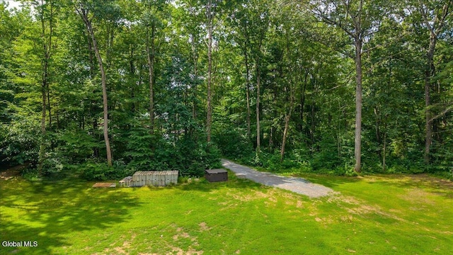 39 Elmore Robinson Rd, Stillwater, NY 12118 - photo 76