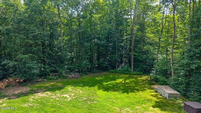 39 Elmore Robinson Rd, Stillwater, NY 12118 - photo 77
